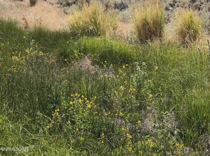 3305 High Rock Road, Gerlach, NV 89412 Photo