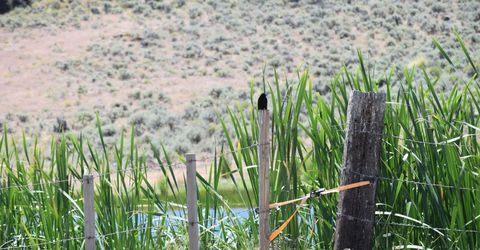 3305 High Rock Road, Gerlach, NV 89412 Photo