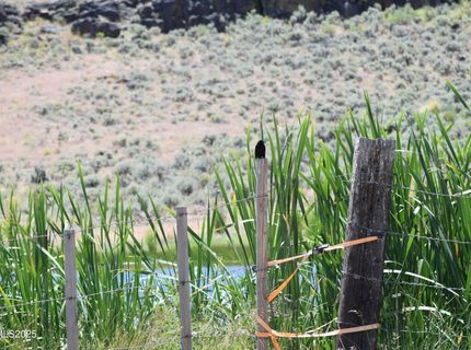 3305 High Rock Road, Gerlach, NV 89412 Photo