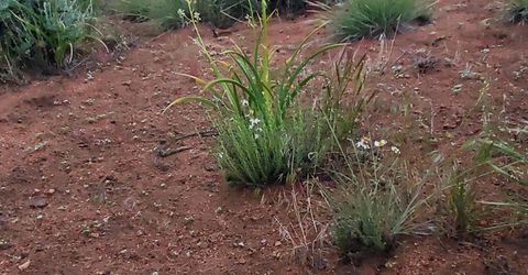 3305 High Rock Road, Gerlach, NV 89412 Photo