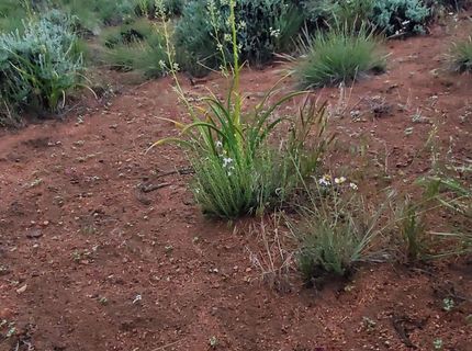 3305 High Rock Road, Gerlach, NV 89412 Photo