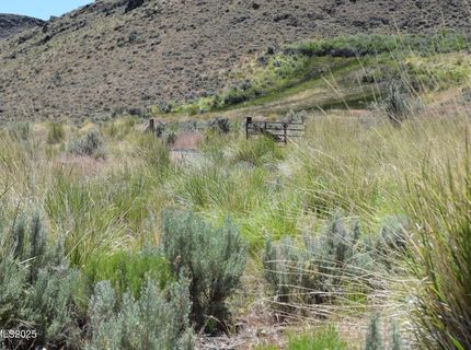 3305 High Rock Road, Gerlach, NV 89412 Photo