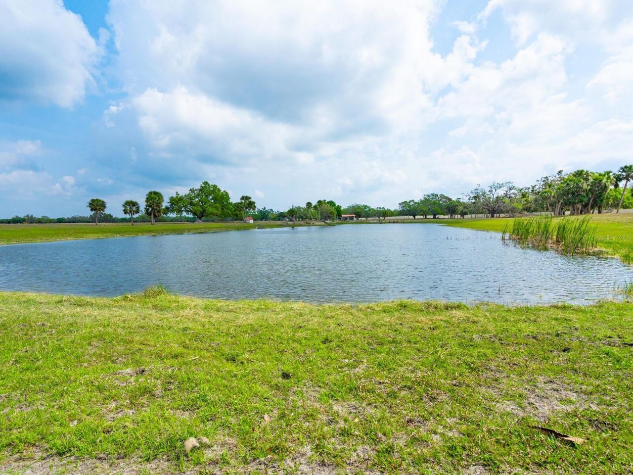 600 N Jackson Road, Venice, FL 34292 Photo