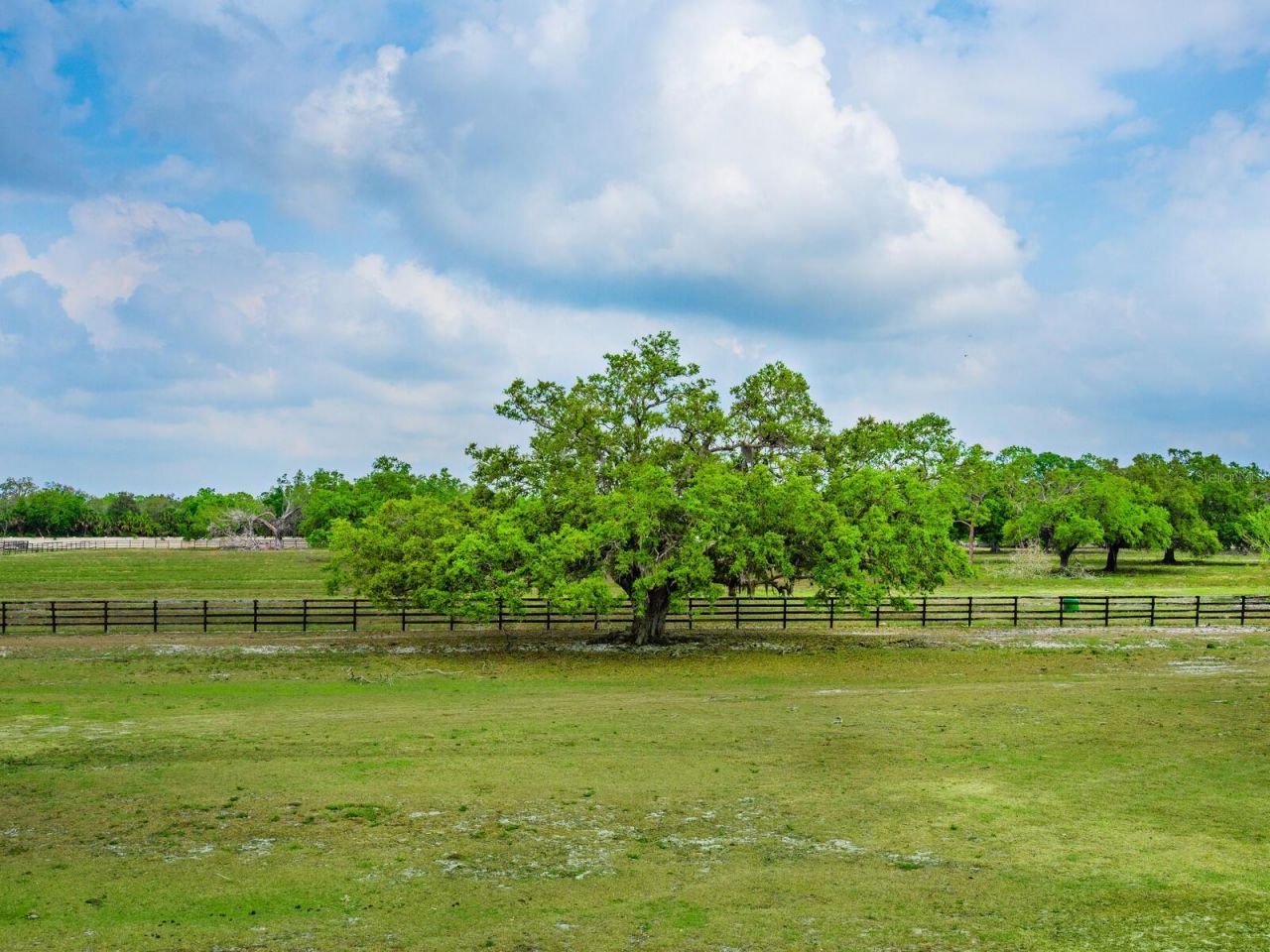 600 N Jackson Road, Venice, FL 34292 Photo