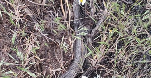 3306 High Rock Road, Gerlach, NV 89412 Photo