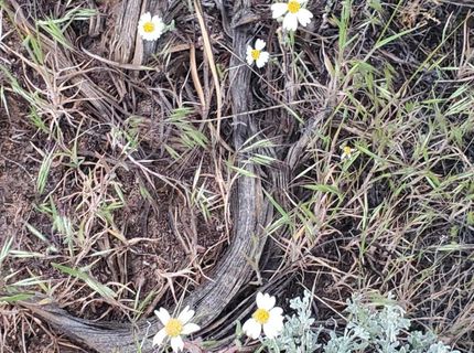 3306 High Rock Road, Gerlach, NV 89412 Photo