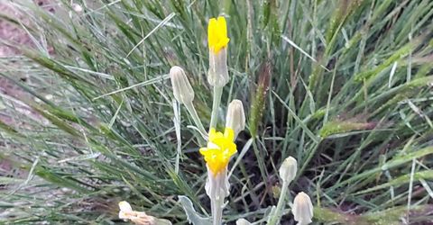 3306 High Rock Road, Gerlach, NV 89412 Photo