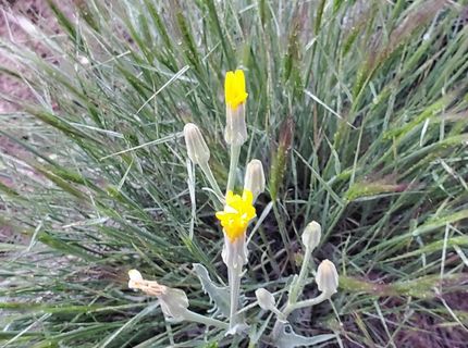 3306 High Rock Road, Gerlach, NV 89412 Photo