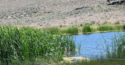 3306 High Rock Road, Gerlach, NV 89412 Photo