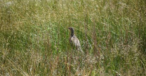 3306 High Rock Road, Gerlach, NV 89412 Photo