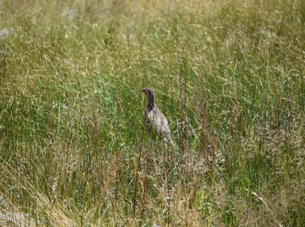 3306 High Rock Road, Gerlach, NV 89412 Photo