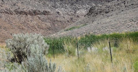 3306 High Rock Road, Gerlach, NV 89412 Photo