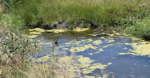 3306 High Rock Road, Gerlach, NV 89412 Photo