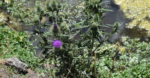 3306 High Rock Road, Gerlach, NV 89412 Photo