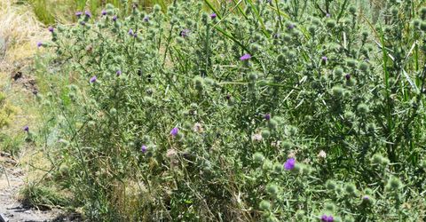 3306 High Rock Road, Gerlach, NV 89412 Photo