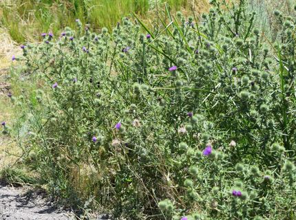 3306 High Rock Road, Gerlach, NV 89412 Photo