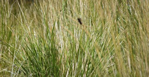 3306 High Rock Road, Gerlach, NV 89412 Photo