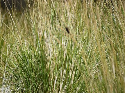 3306 High Rock Road, Gerlach, NV 89412 Photo