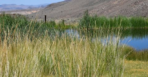 3306 High Rock Road, Gerlach, NV 89412 Photo