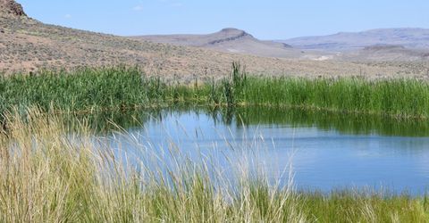 3306 High Rock Road, Gerlach, NV 89412 Photo