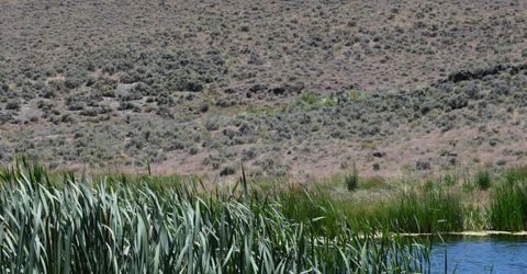 3306 High Rock Road, Gerlach, NV 89412 Photo