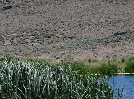 3306 High Rock Road, Gerlach, NV 89412 Photo