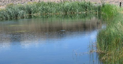 3306 High Rock Road, Gerlach, NV 89412 Photo