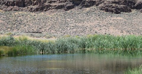 3306 High Rock Road, Gerlach, NV 89412 Photo