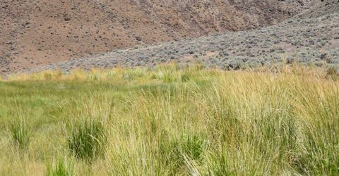 3306 High Rock Road, Gerlach, NV 89412 Photo