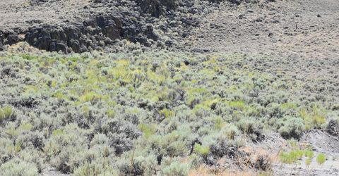 3306 High Rock Road, Gerlach, NV 89412 Photo