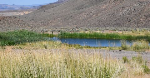 3306 High Rock Road, Gerlach, NV 89412 Photo