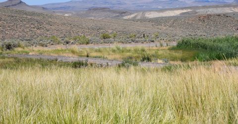 3306 High Rock Road, Gerlach, NV 89412 Photo