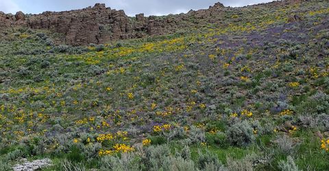 3306 High Rock Road, Gerlach, NV 89412 Photo