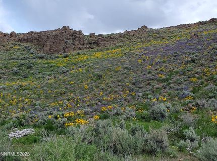 3306 High Rock Road, Gerlach, NV 89412 Photo