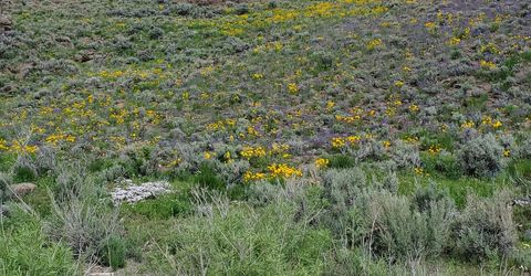 3306 High Rock Road, Gerlach, NV 89412 Photo