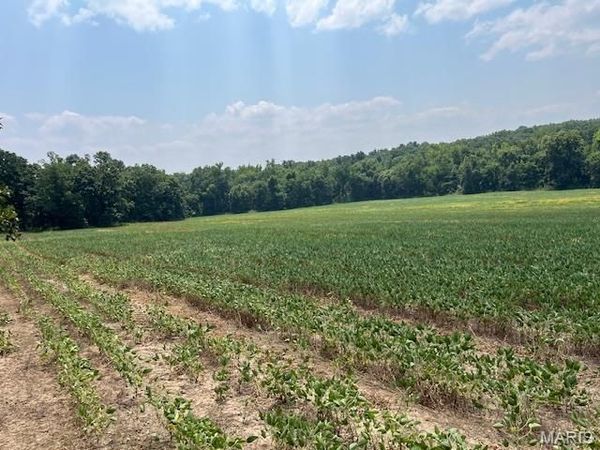 56 ACRES Elk Head Road, Bland, MO 65014