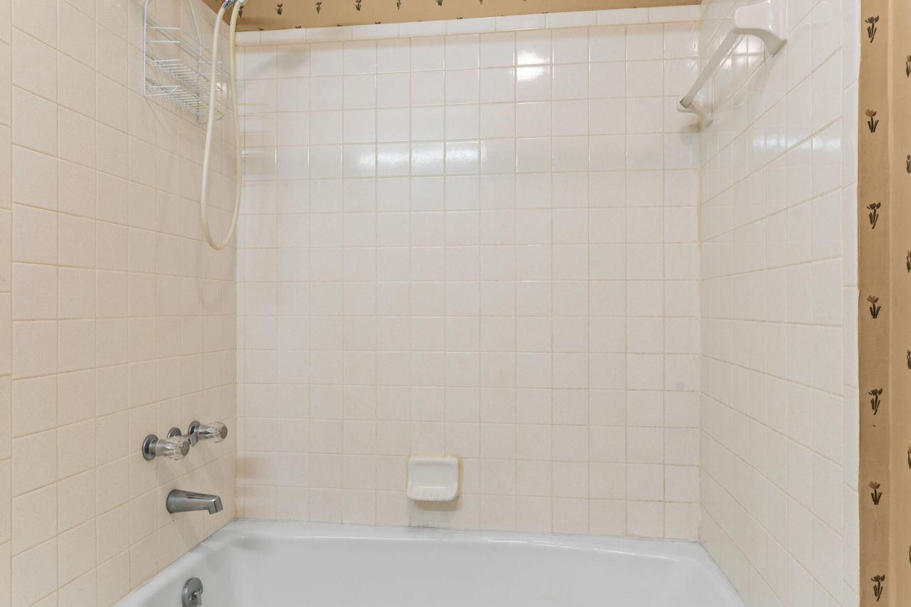 3 Andre Michaux Road Photo 20