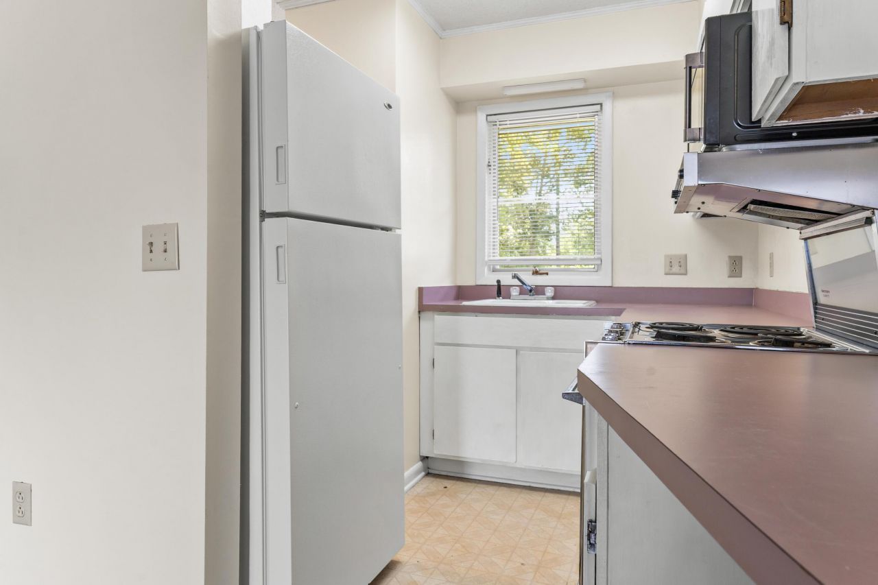 3 Andre Michaux Road Photo 26