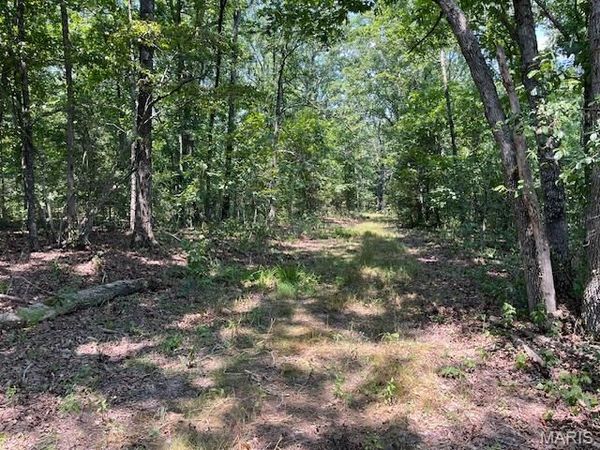 30 ACRES Elk Head Road, Bland, MO 65014