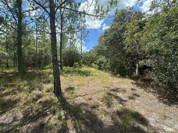 796 FISHER ROAD, OCKLAWAHA, FL 32179