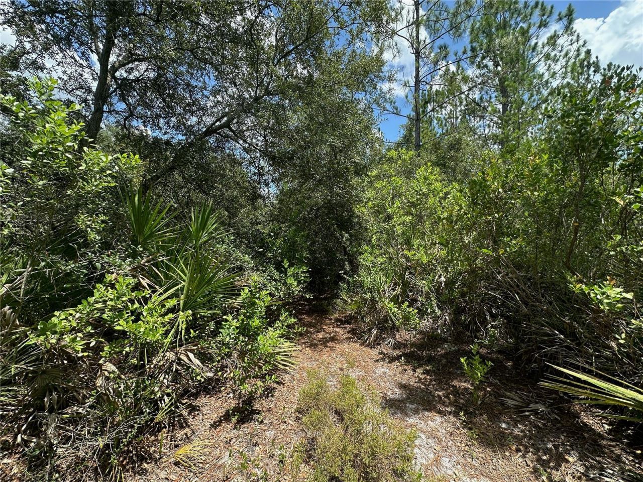 796 Fisher Road, Ocklawaha, FL 32179 Photo