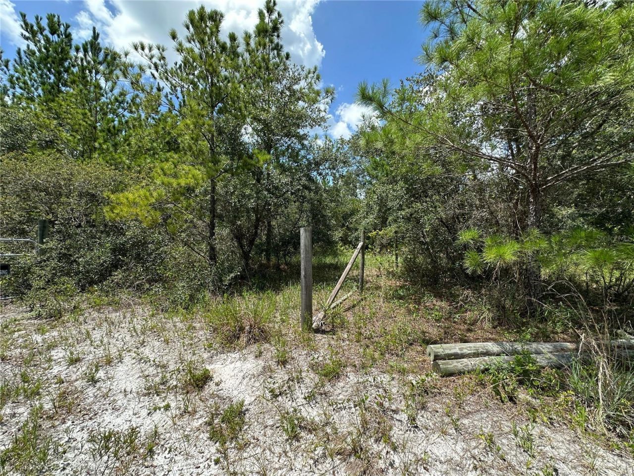 796 Fisher Road, Ocklawaha, FL 32179 Photo