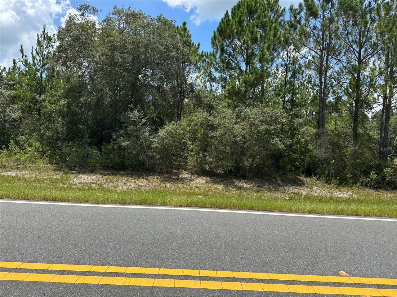 796 Fisher Road, Ocklawaha, FL 32179 Photo
