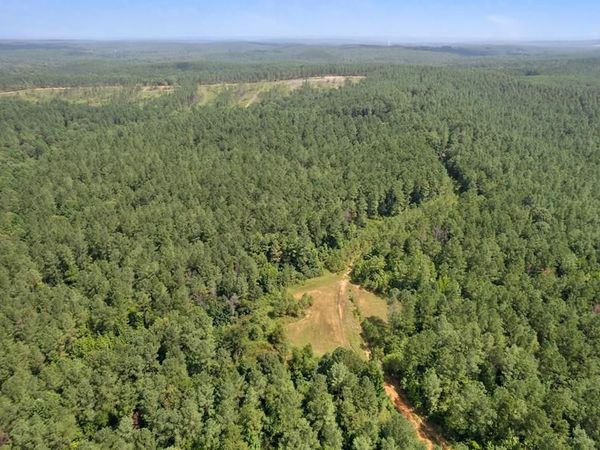 TBD Cr 428, Paris, MS 38949