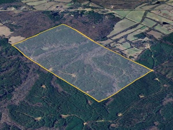 TBD Cr 428, Paris, MS 38949