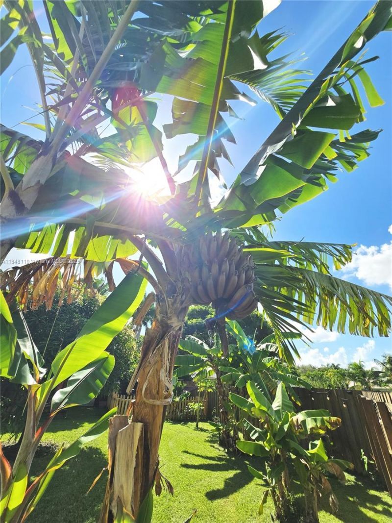 2237 NW 15th Pl, Homestead, FL 33030 Photo