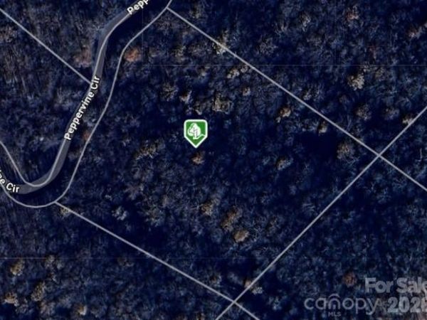 0000 Peppervine Circle, Rosman, NC 28772