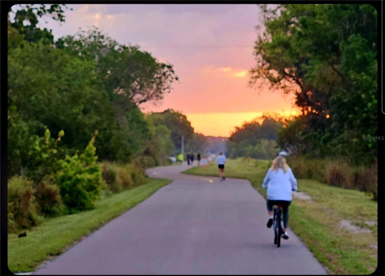 850 S Tamiami Trail, Unit 506, Sarasota, FL 34236 Photo