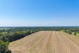 0 Joes Trail photo 4