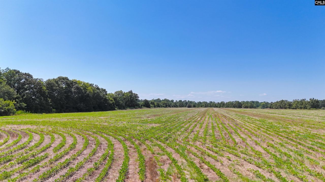 0 Joes Trail Photo 4